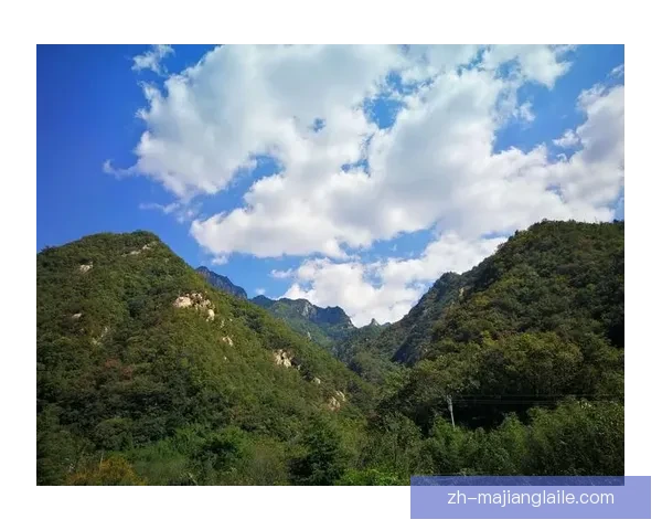 德里奥二比一逆转札木迪欧全场解析战术变化与关键球员表现度复盘