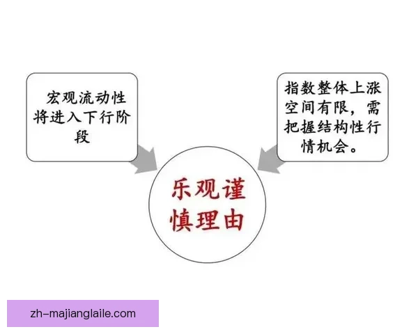 舒宁根与艾默当的精彩对决解析及关键踢球策略盘点